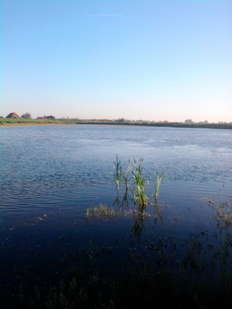 Hollands Diep